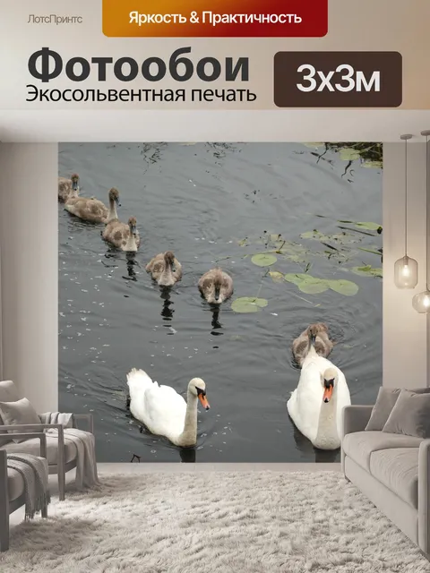 Фотообои Птицы