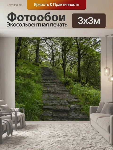 Фотообои Путь через лес