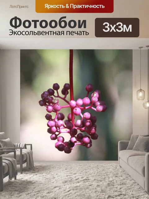 Фотообои Фрукты