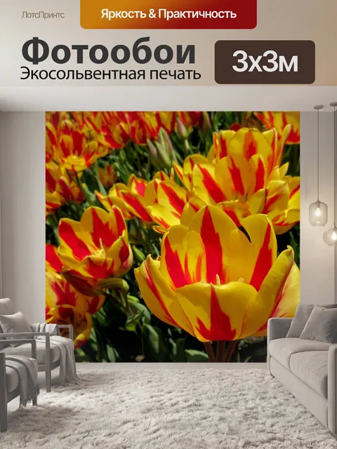 Фотообои Цветы