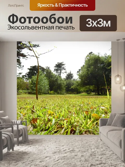 Фотообои Парк Золотые ворота поле