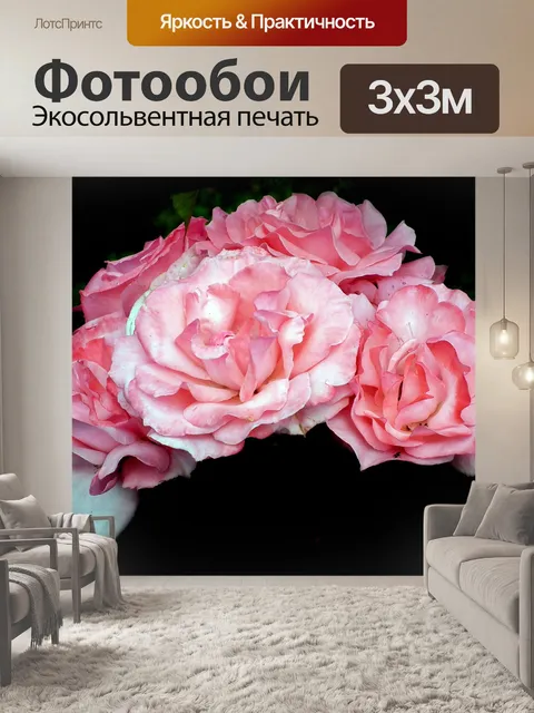 Фотообои Розы