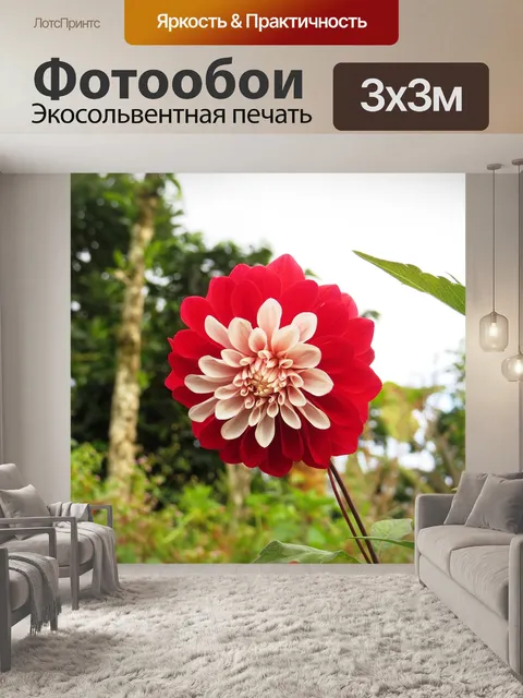 Фотообои Пейзаж