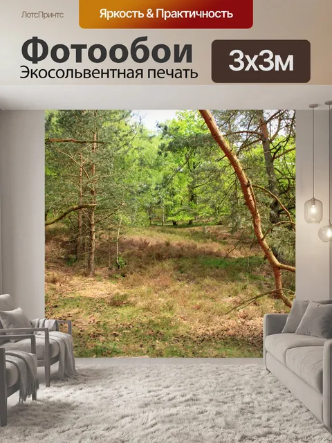 Фотообои Фон