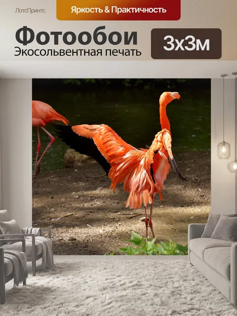Фотообои Фламинго
