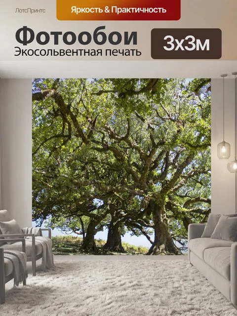 Фотообои Лавровый лес
