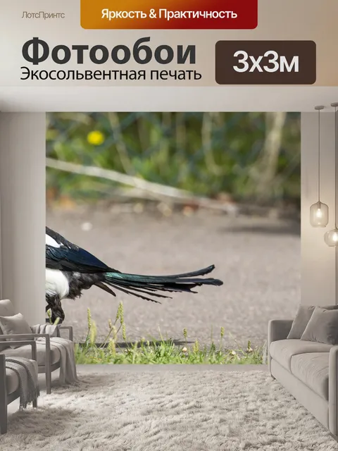 Фотообои Птица