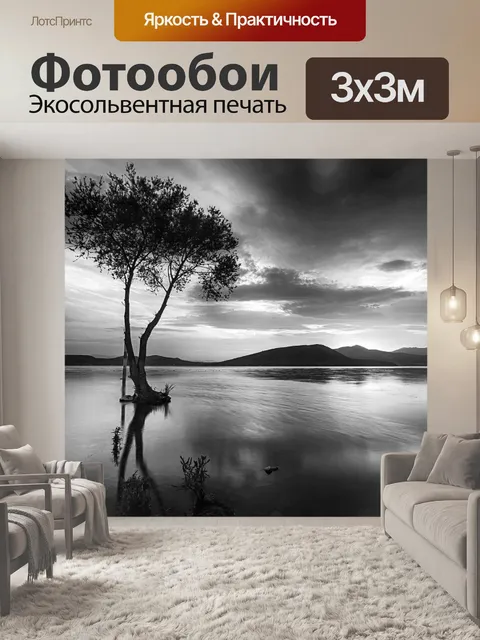 Фотообои Черно-белый