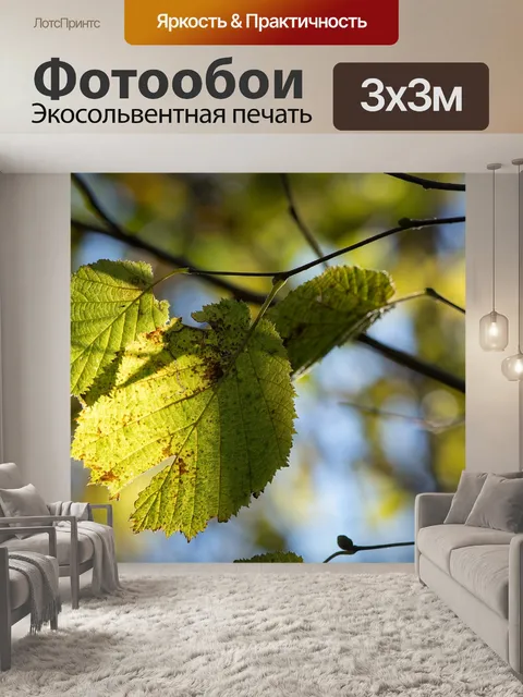 Фотообои Листья