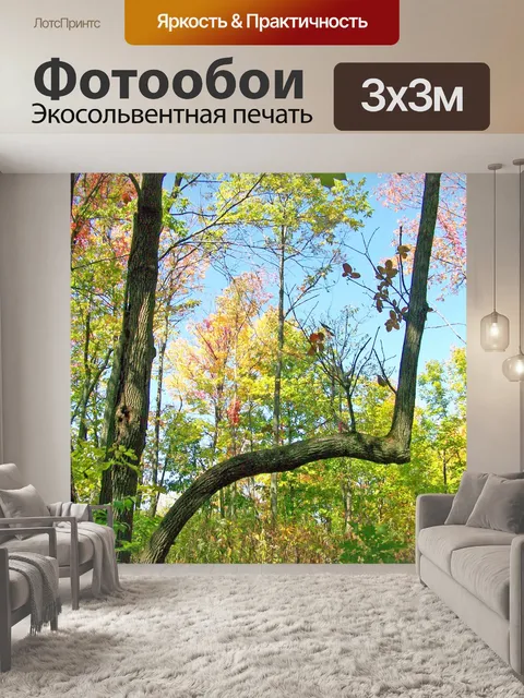 Фотообои Осенние деревья