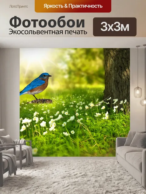 Фотообои птица, синяя птица, птица, природа,
