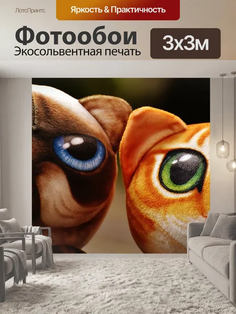 Фотообои Кошки