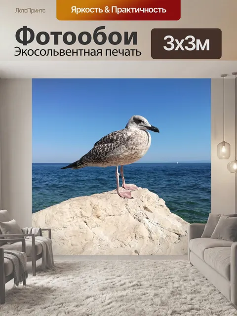 Фотообои Чайка