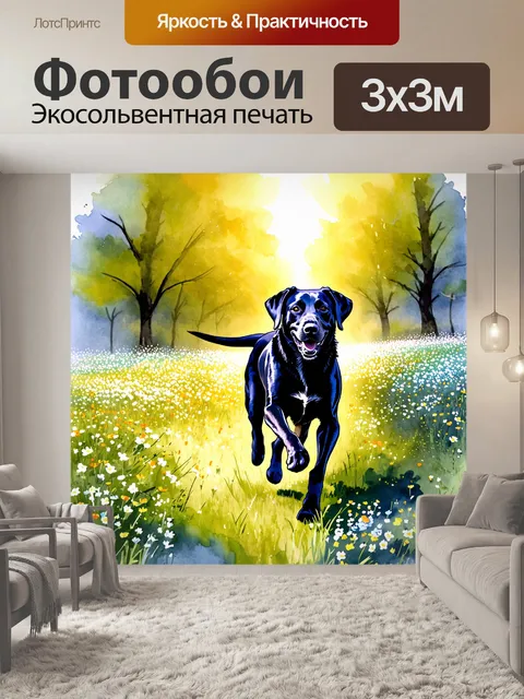 Фотообои черный лабрадор бегает по полю цветущих диких цветов, солнечные лучи проникают сквозь зелень деревьев