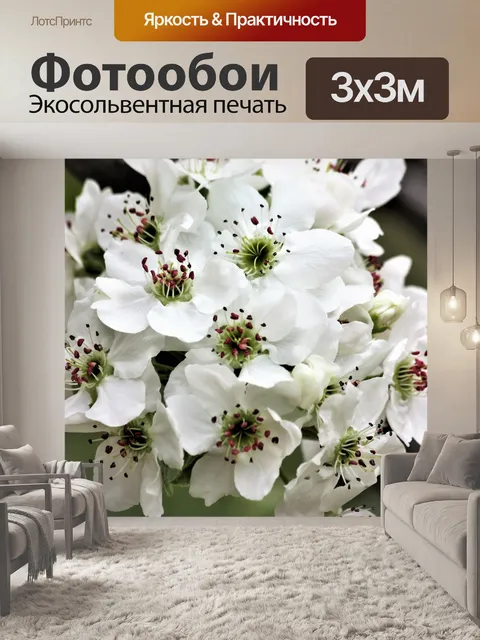 Фотообои Цветок груши Крупный план 2