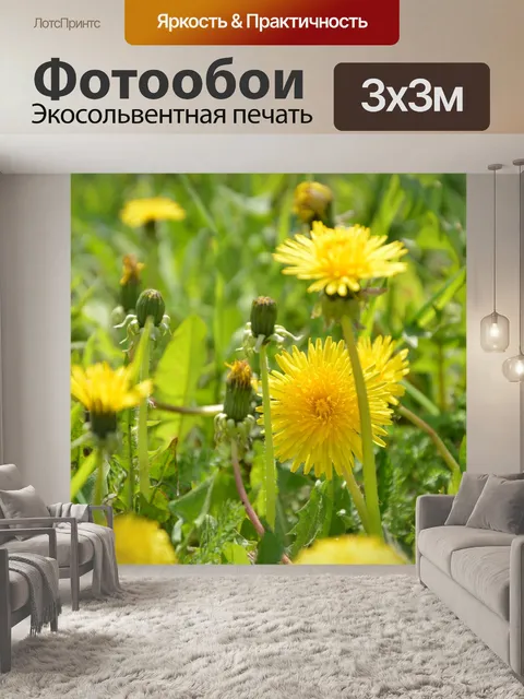 Фотообои Цветок