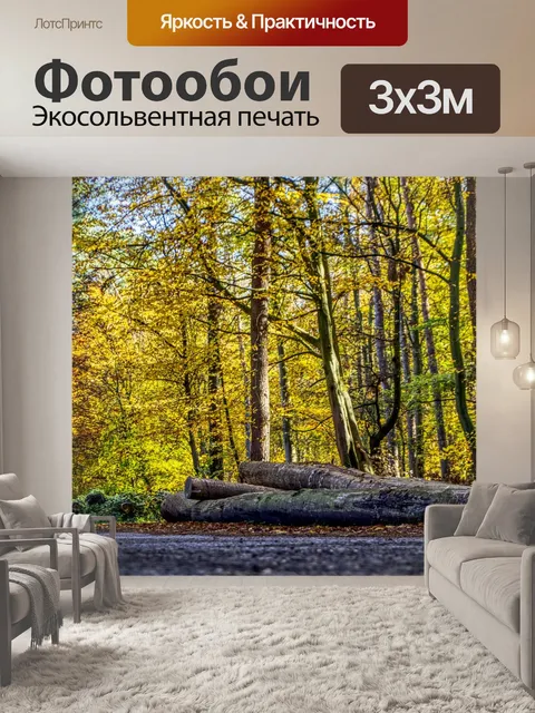 Фотообои Лес