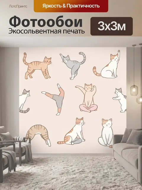 Фотообои Котики в йога-асане
