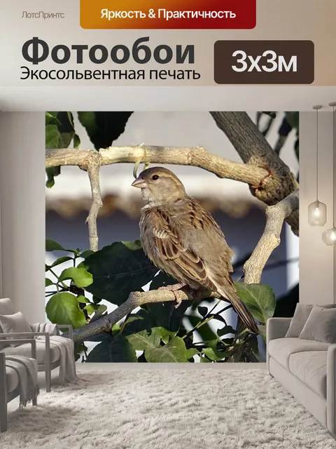 Фотообои Птица