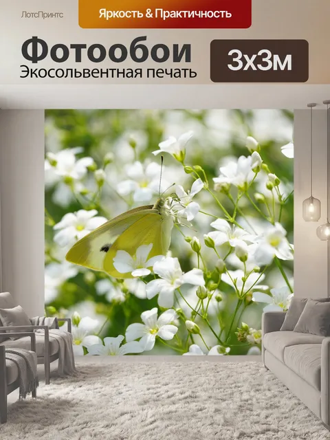 Фотообои Гипсофила