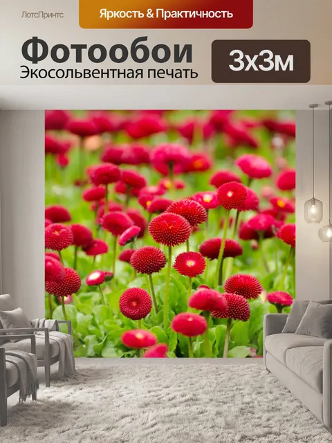 Фотообои Цветы