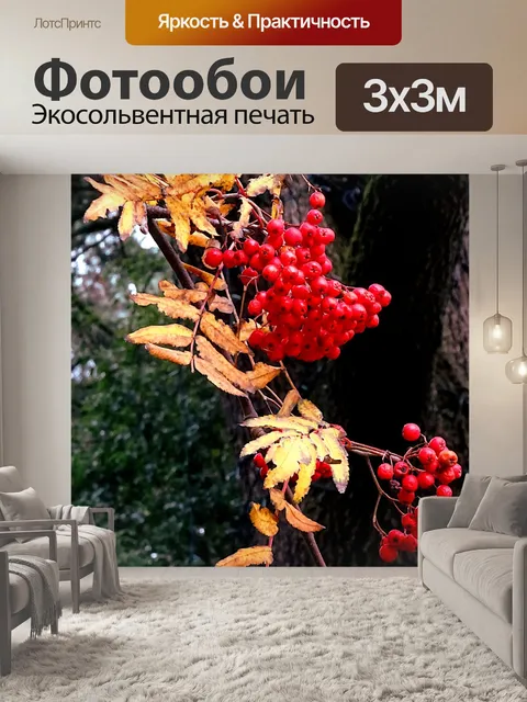 Фотообои Зимнее дерево с красными ягодами