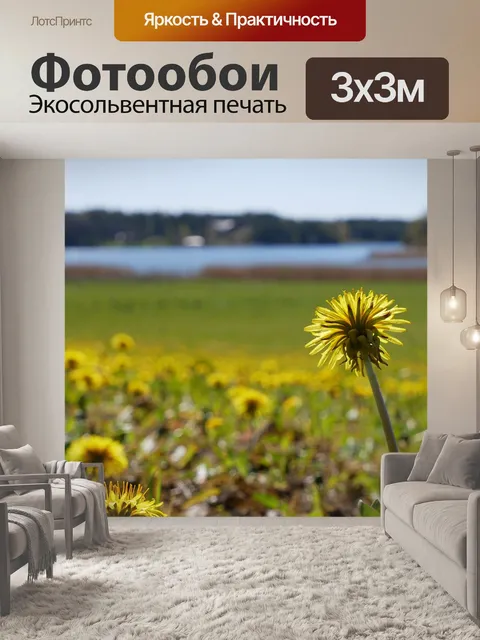 Фотообои Цветы