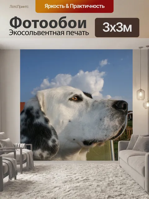 Фотообои Посмотреть