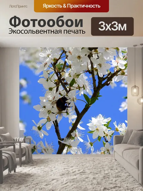 Фотообои Цветы