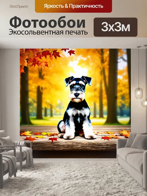 Фотообои цвергшнауцер, сидящий на старом деревянном столе, окружённый яркими осенними листьями