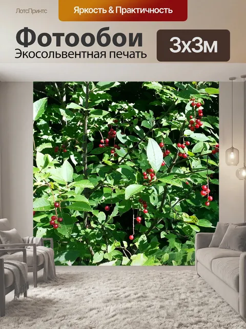 Фотообои Cherry Tree