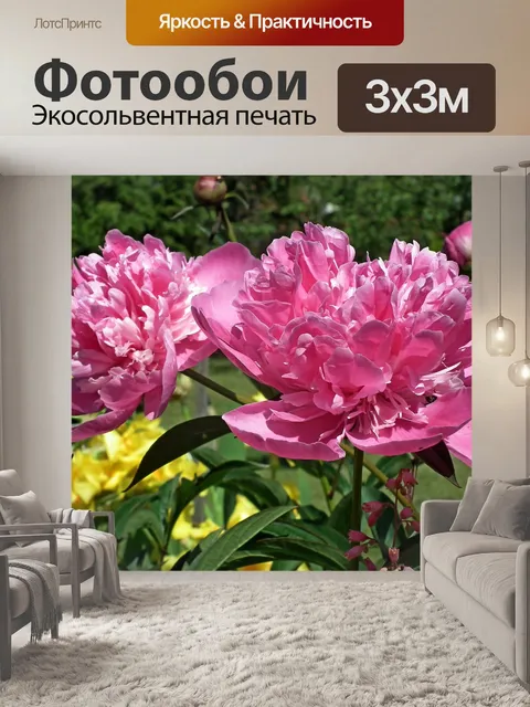 Фотообои Пионы
