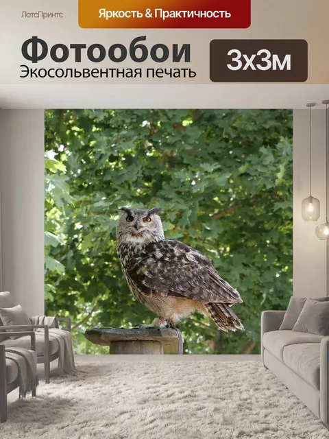 Фотообои Дикая природа
