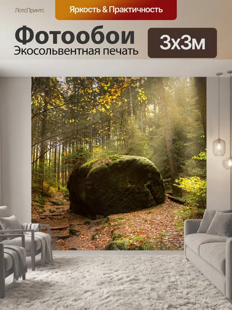 Фотообои Лес