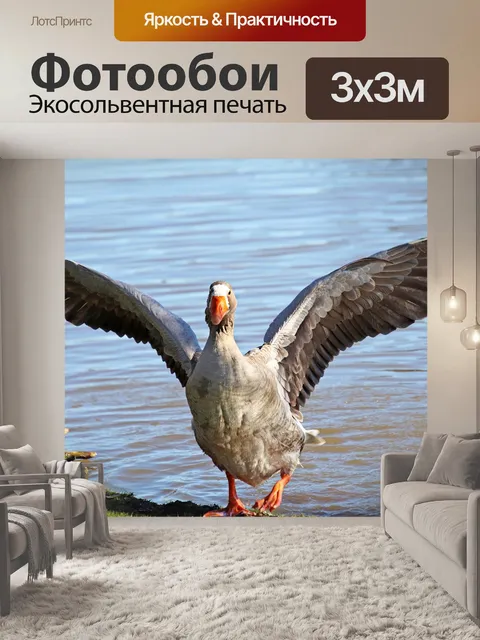 Фотообои Гусь