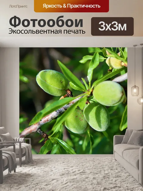 Фотообои Миндаль