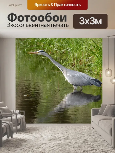 Фотообои Поймать рыбу 5
