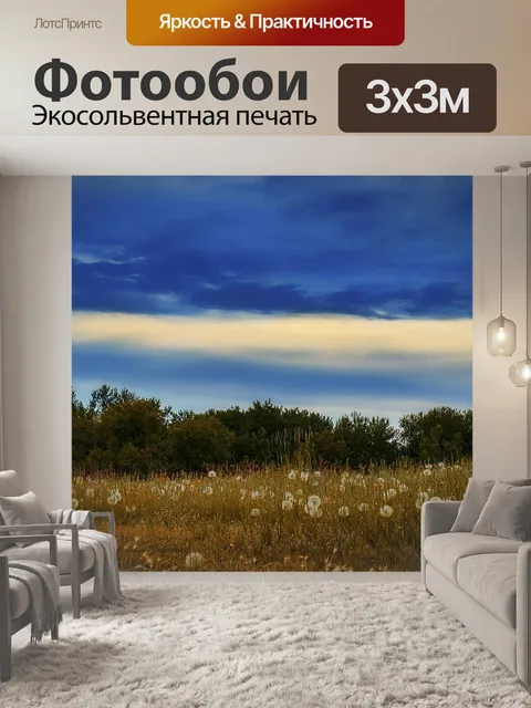 Фотообои Одуванчики
