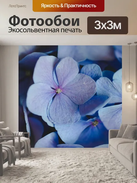 Фотообои Расцветает