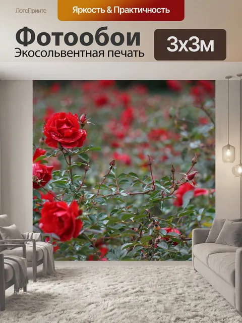 Фотообои Боке