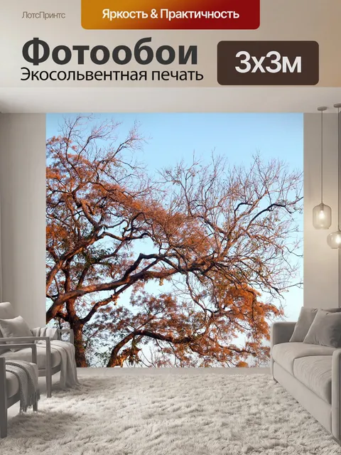 Фотообои Вид на восход солнца утром в Шри Нан