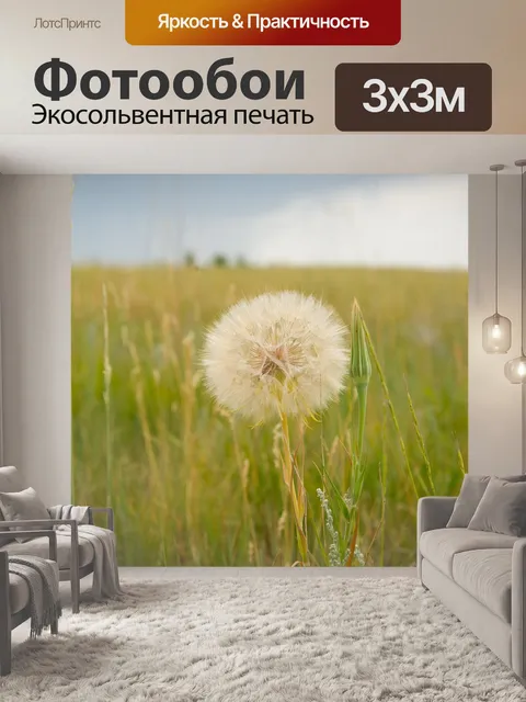 Фотообои Одуванчик