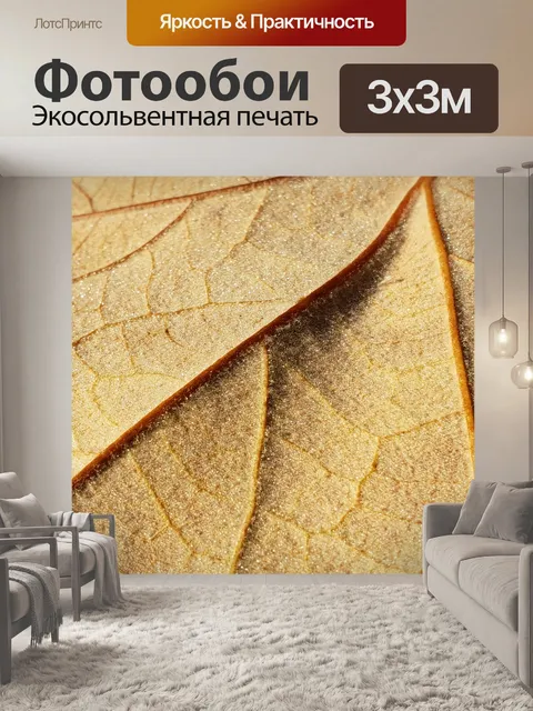 Фотообои Сухой лист крупным планом