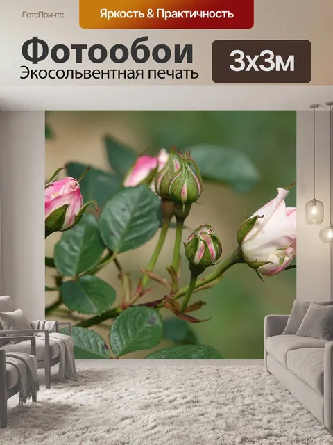 Фотообои Розы