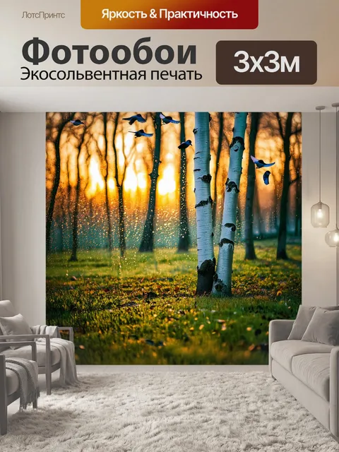 Фотообои ландшафт с березами на рассвете, где первый свет заливает землю