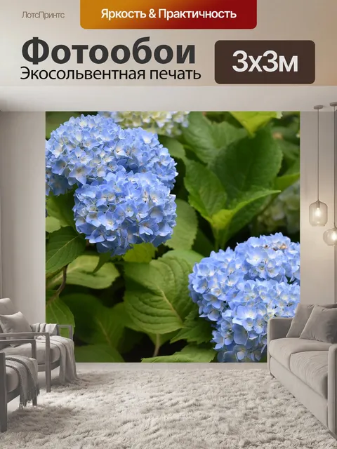 Фотообои Цветы