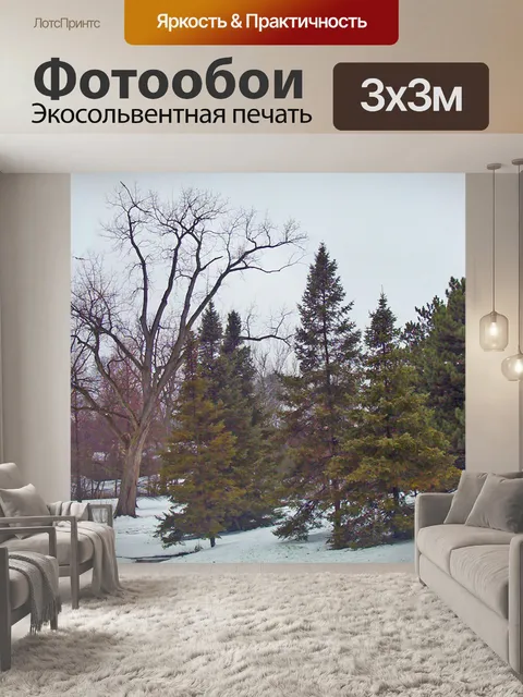 Фотообои Деревья в снегу
