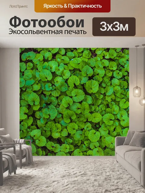Фотообои Листья