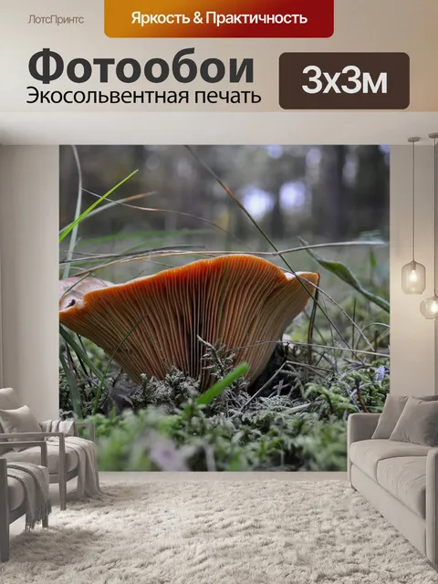 Фотообои Лес