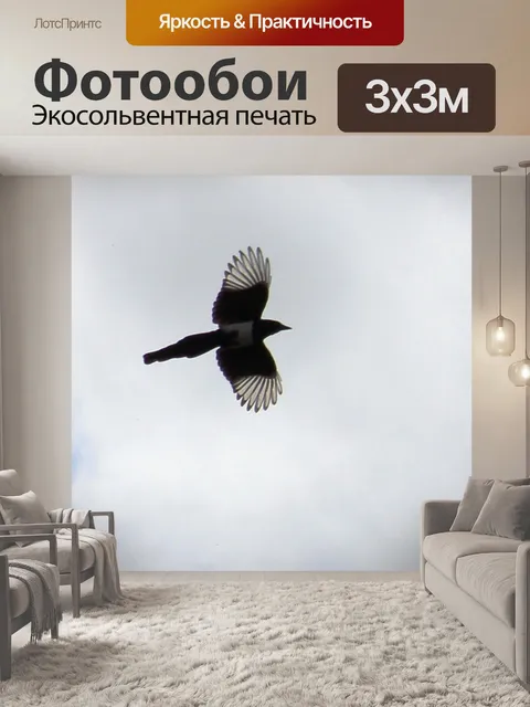 Фотообои Сорока